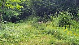 999 999$ - Terrain Résidentiel À Vendre À Brownsburg-Chatham