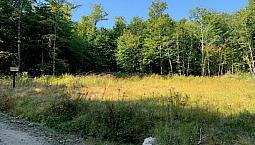 129 000$ - Prix Taxes En Sus - Terre À Bois À Vendre À Kiamika