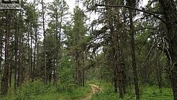 1-3 Lot 1.75 Acre Hudson Bay Rm No. 394, Saskatchewan