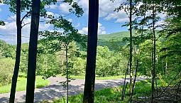 349 500$ - Terrain Résidentiel À Vendre À Bromont