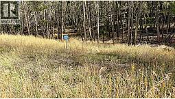 Lot 44 Mountain View Drive Fairmont Hot Springs, British Columbi