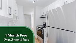 Gym, Resident Library, Dog Run And More | Beautifully Renovated 