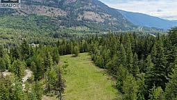 3809 Passmore Upper Road Passmore, British Columbia