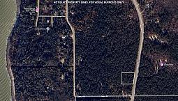 Stunning 1.09Acre Property W/ Privacy & Mature Trees
