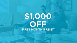 Pet-Friendly One Bedroom One Bath With In-Suite Laundry For Rent