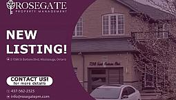 Partly Furnished 2-bedroom Basement Apartment In Mississauga | 9