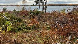 Waterfront Lot In Johnstons River