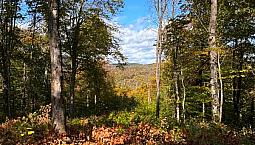 Terrains De 7,7 Acres A Vendre à Morin Heights