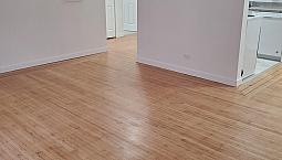 Renovated 1 Bedroom With Hardwood Floors!