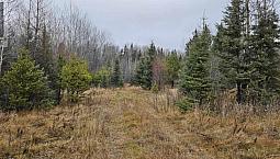 Pin #420950063 Hwy 17 Melgund, Ontario