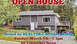 Open House | Sun | Mar 5 | 1-3Pm W Realtor® Brittany Widrig