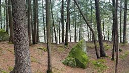 $125,000 - Residential Lot For Sale In St-hippolyte
