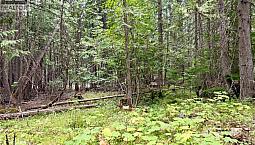 Harrop-Procter Road Lot# E Procter, British Columbia