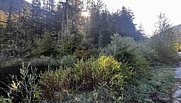 Rll1 Strawberry Lane, Sunshine Valley Hope, British Columbia