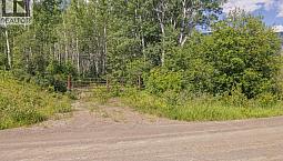 Dl 5314 Horseshoe Lake Road Mcbride, British Columbia