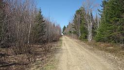 New Price, 11 Acres For Sale, Cocagne Area.