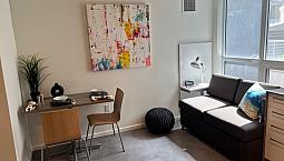 Fully Furnished Studio Apartment Downtown Ottawa