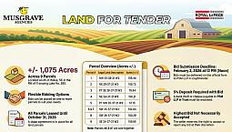 Land For Tender - Elder Farmland Near Unity Sk