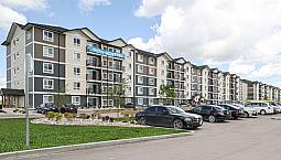 Pet-Friendly One Bedroom One Bath With In-Suite Laundry For Rent