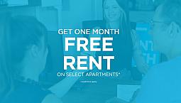Pet-Friendly Three Bedroom Two Bath With In-Suite Laundry For Re