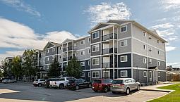 Pet-Friendly Two Bedroom One Bath With In-Suite Laundry For Rent