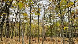 79 700$ - Terrain Résidentiel À Vendre À Lac-Ste-Marie