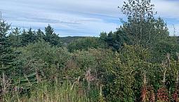 Ocean View Land Located In Scenic Plate Cove West