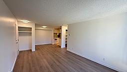 Modern 1 Bed 1 Bath - $1095/mo With $300 Credit First 3 Months