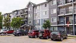 Pet-Friendly Two Bedroom One Bath With In-Suite Laundry For Rent