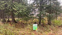 105 000$ - Terrain Résidentiel À Vendre À St-Michel-Des-Saints