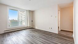 One Month Free!  Bachelor  - Centretown/elgin/bank/downtown