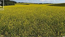 Gauthier Farm Keys Rm No. 303, Saskatchewan
