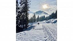 106 Topping Terrace Rossland, British Columbia