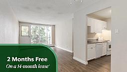 Beautifully Renovated Suites With Walk-In Closets | Gym, Social 