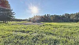 26 500$ - Terrain Résidentiel À Vendre À St-Moise
