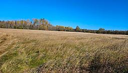 17.5 Acre Property