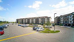 Pet-Friendly Three Bedroom One Bath With In-Suite Laundry For Re