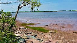 Live A North Shore Lifestyle – Toney Bay. 4 Lots Only.