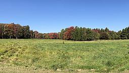 750 000$ - Terre Agricole À Vendre À Bromont