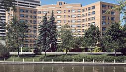 Beautiful 1 Bedroom + Den - January 1St, 2024