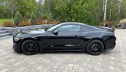 2016 Ford Gt350 Shelby 